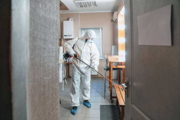 Best Comprehensive Air Testing for Mold Contaminants  in Palm Beach Shores, FL