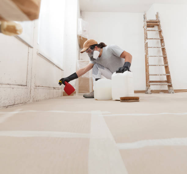 Best Commercial Mold Inspection  in Palm Beach Shores, FL
